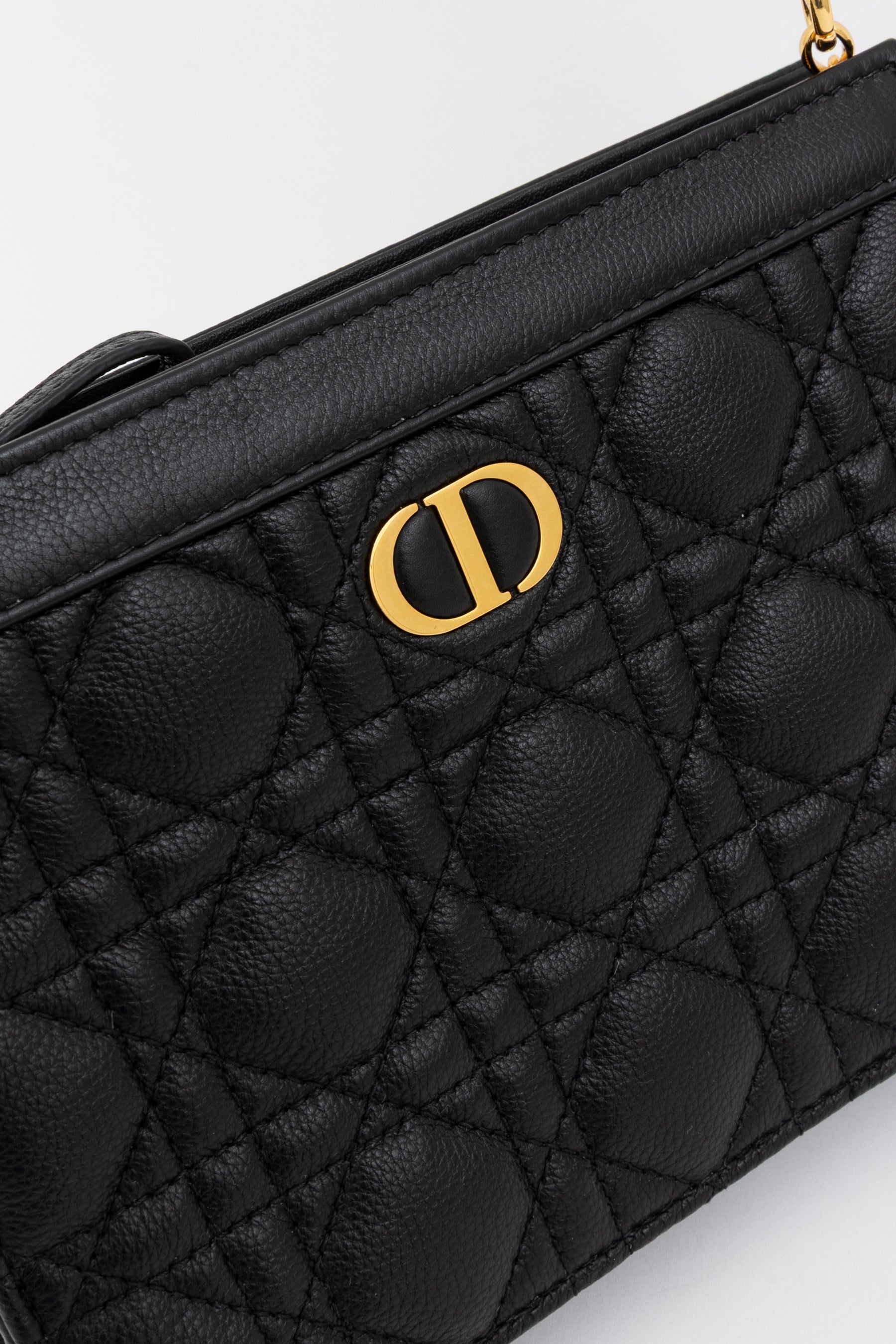 Caro Every Dior Pouch
