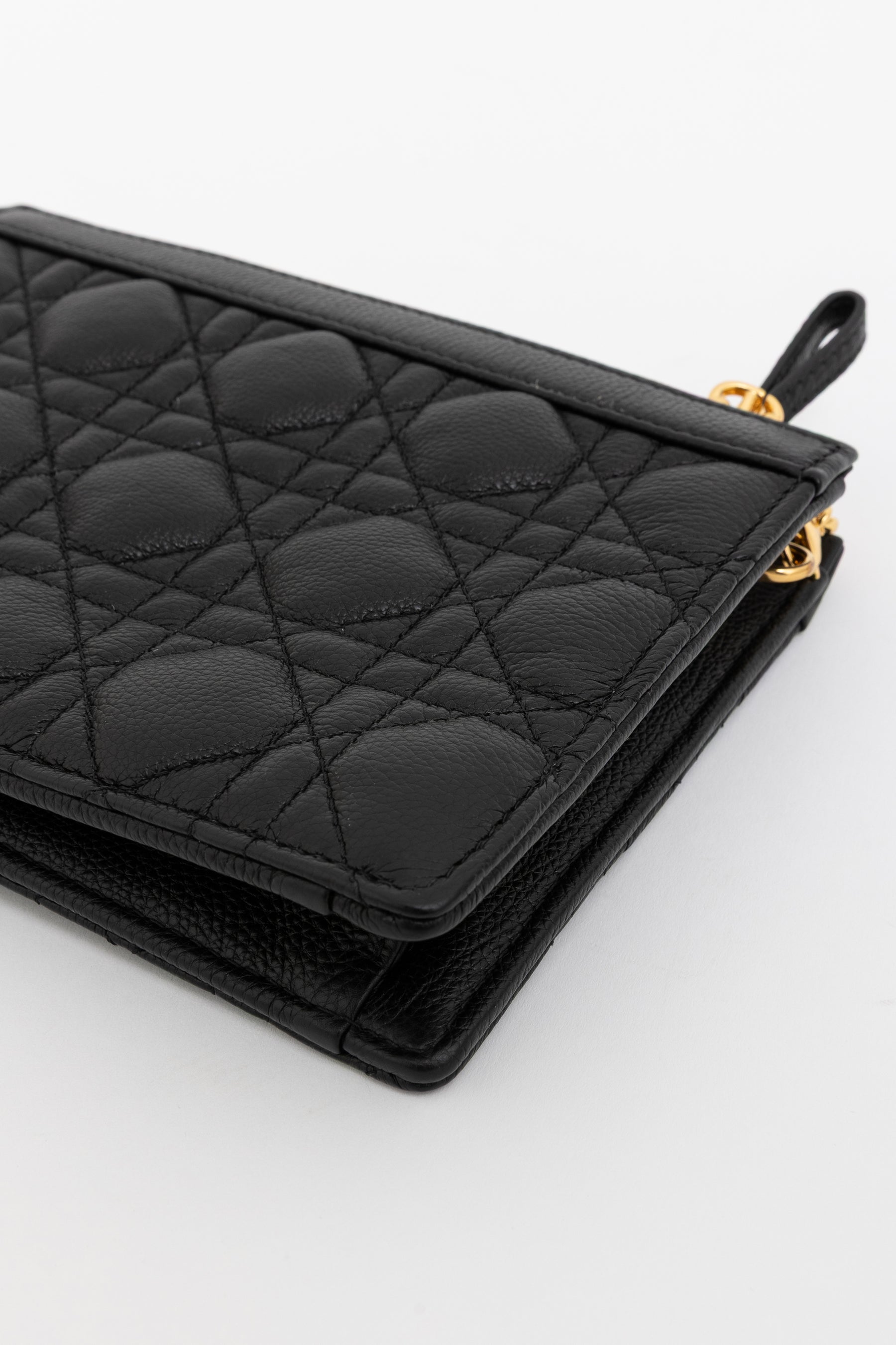 Caro Every Dior Pouch