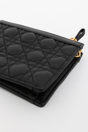 Caro Every Dior Pouch
