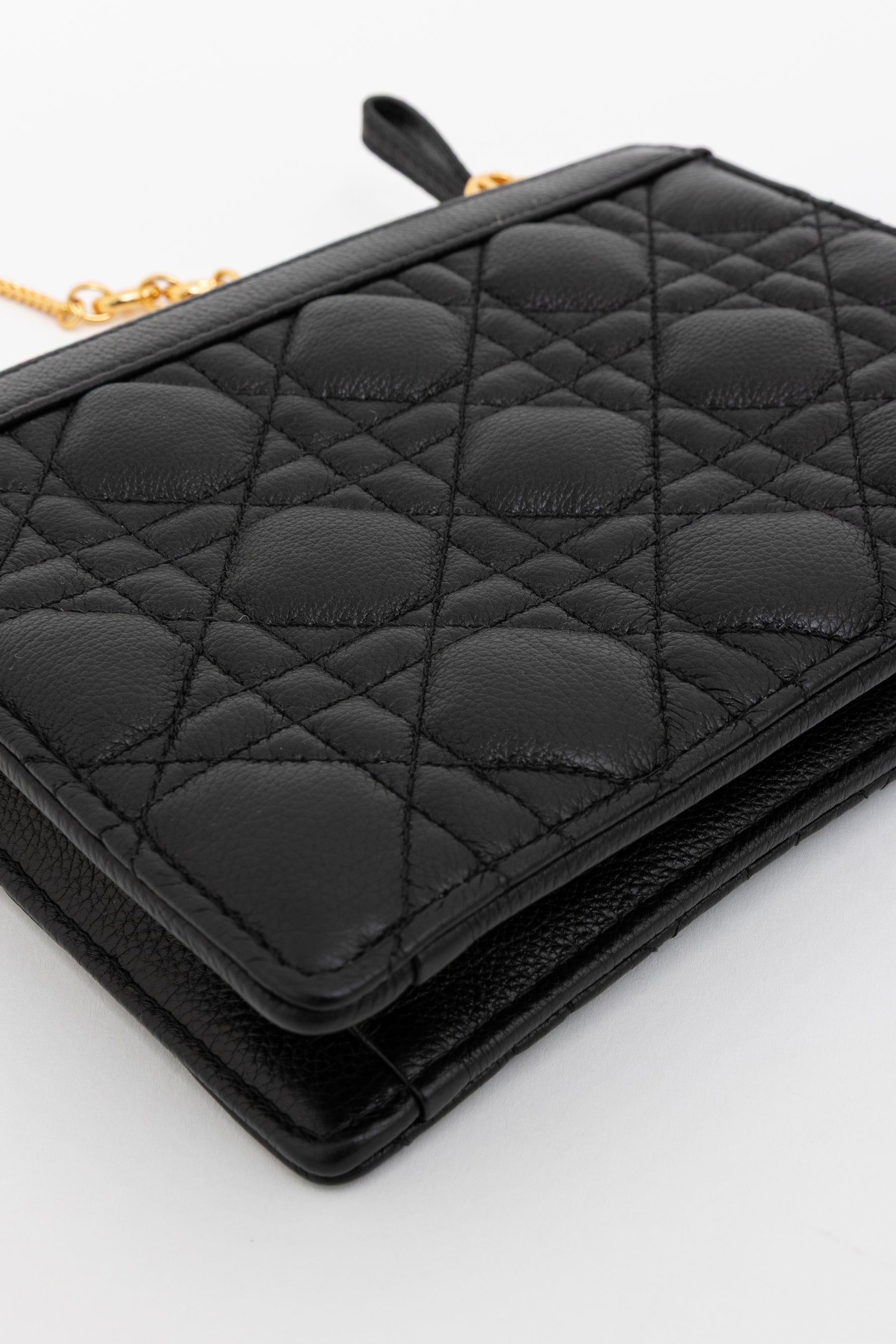 Caro Every Dior Pouch