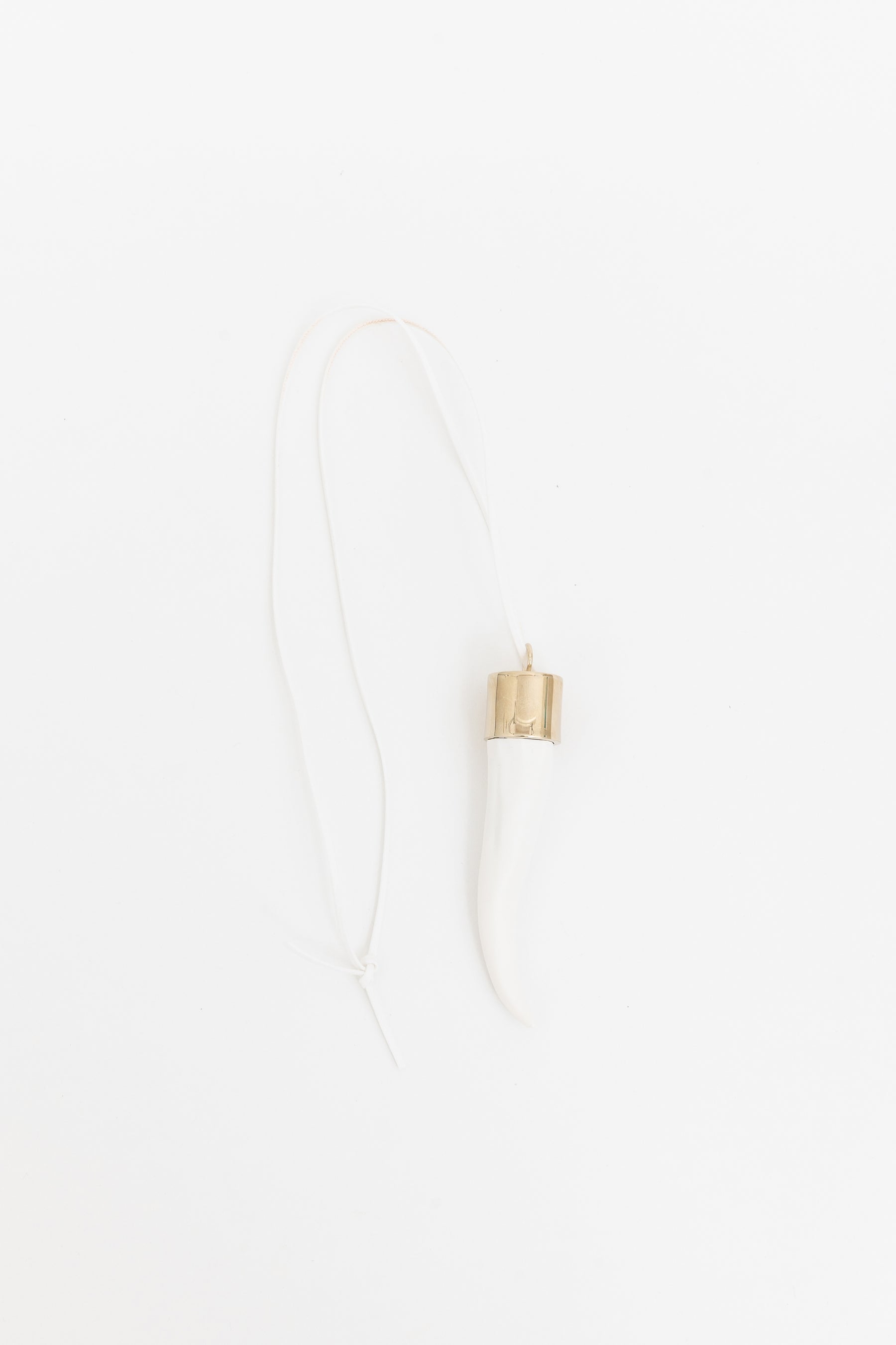 Horn Pendant Necklace