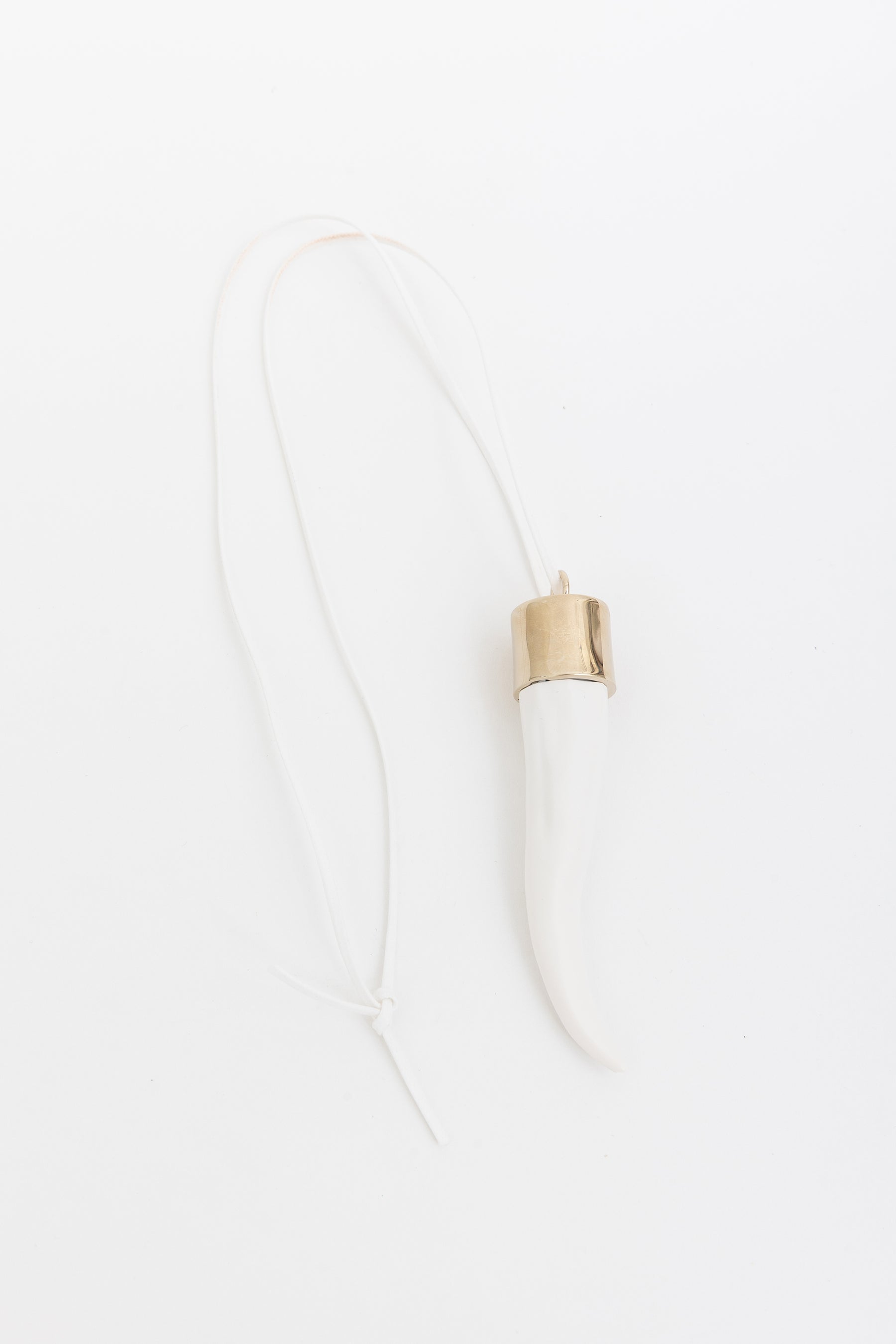 Horn Pendant Necklace