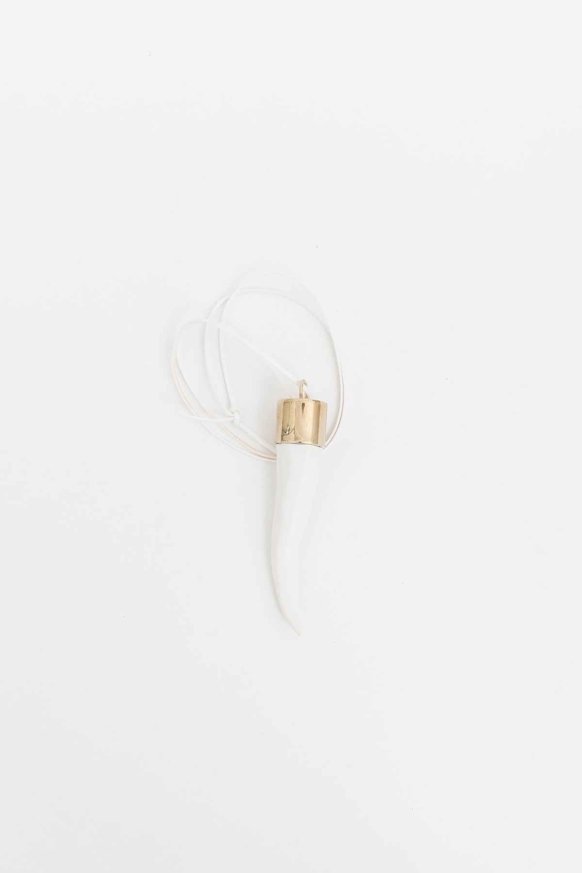 Horn Pendant Necklace