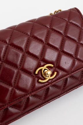 Adjustable Wallet on Chain