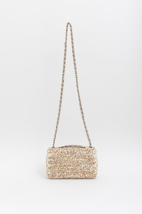 Small Raffia Sequin Single Flap Bag