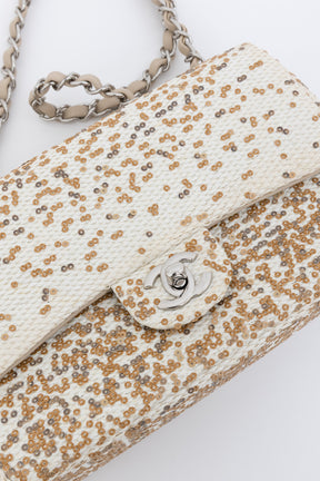Small Raffia Sequin Single Flap Bag