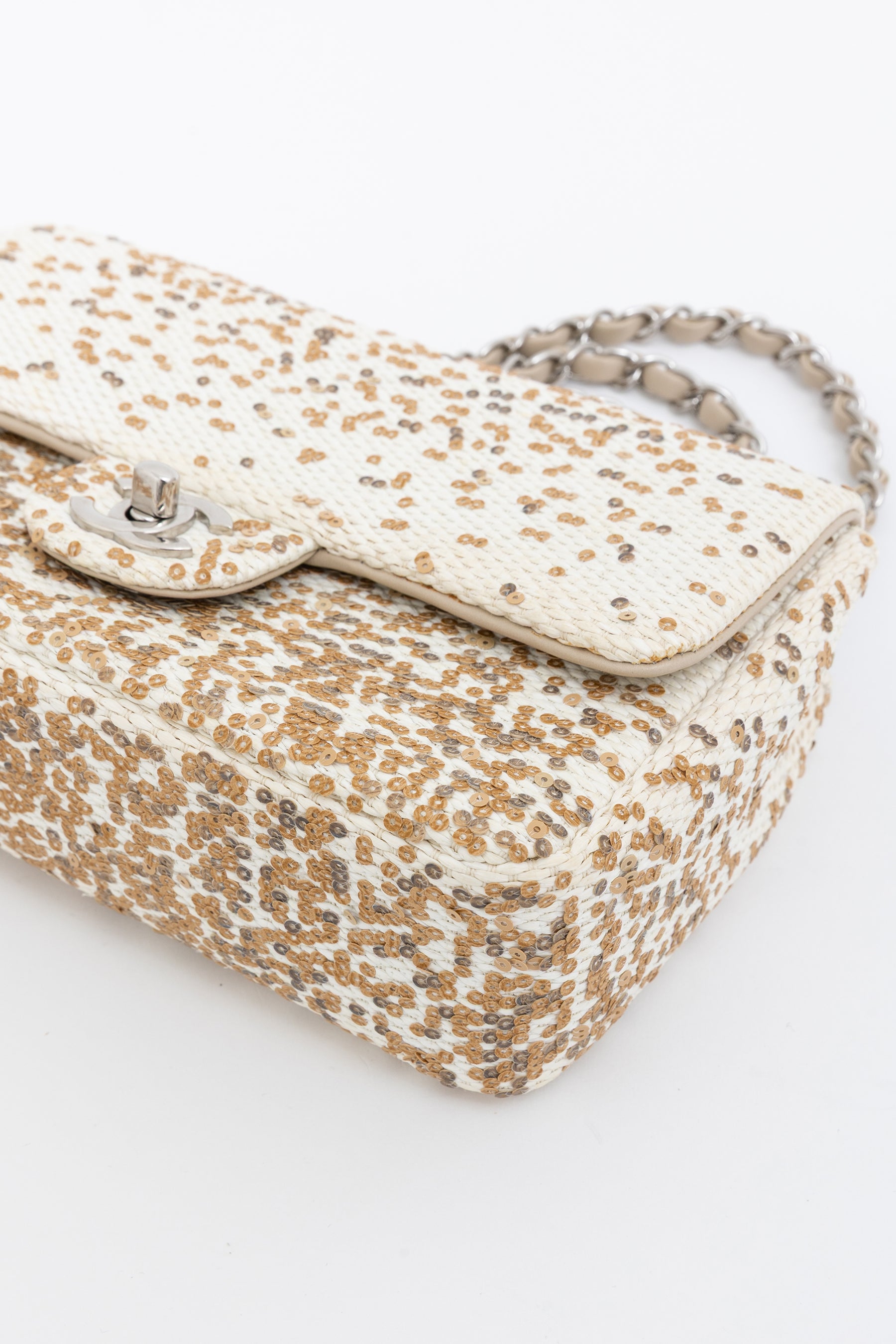 Small Raffia Sequin Single Flap Bag