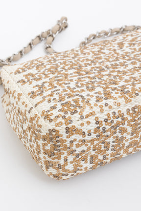 Small Raffia Sequin Single Flap Bag