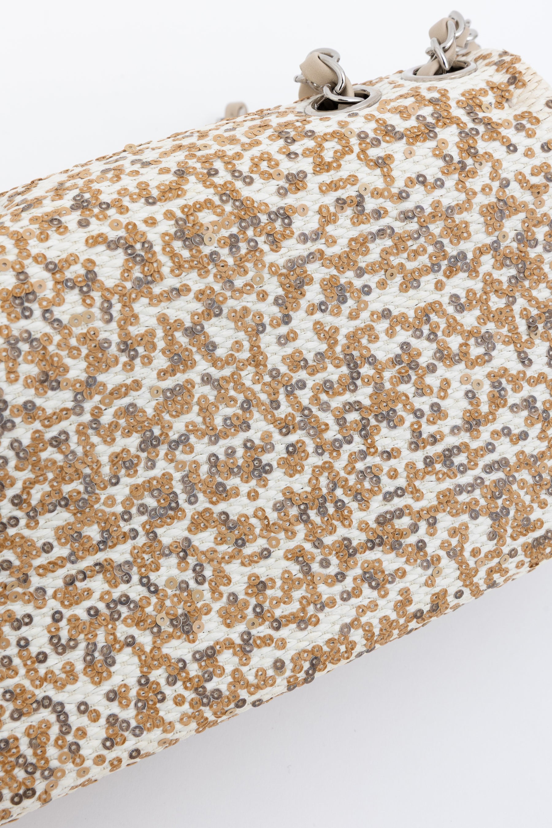 Small Raffia Sequin Single Flap Bag