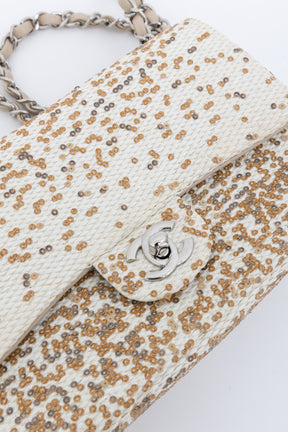 Small Raffia Sequin Single Flap Bag
