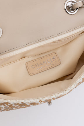 Small Raffia Sequin Single Flap Bag