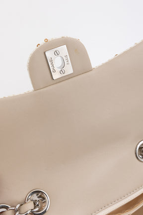 Small Raffia Sequin Single Flap Bag