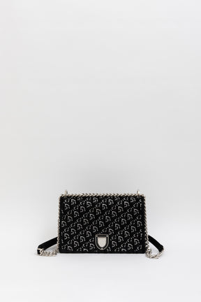 Crystal Oblique Diorama Bag