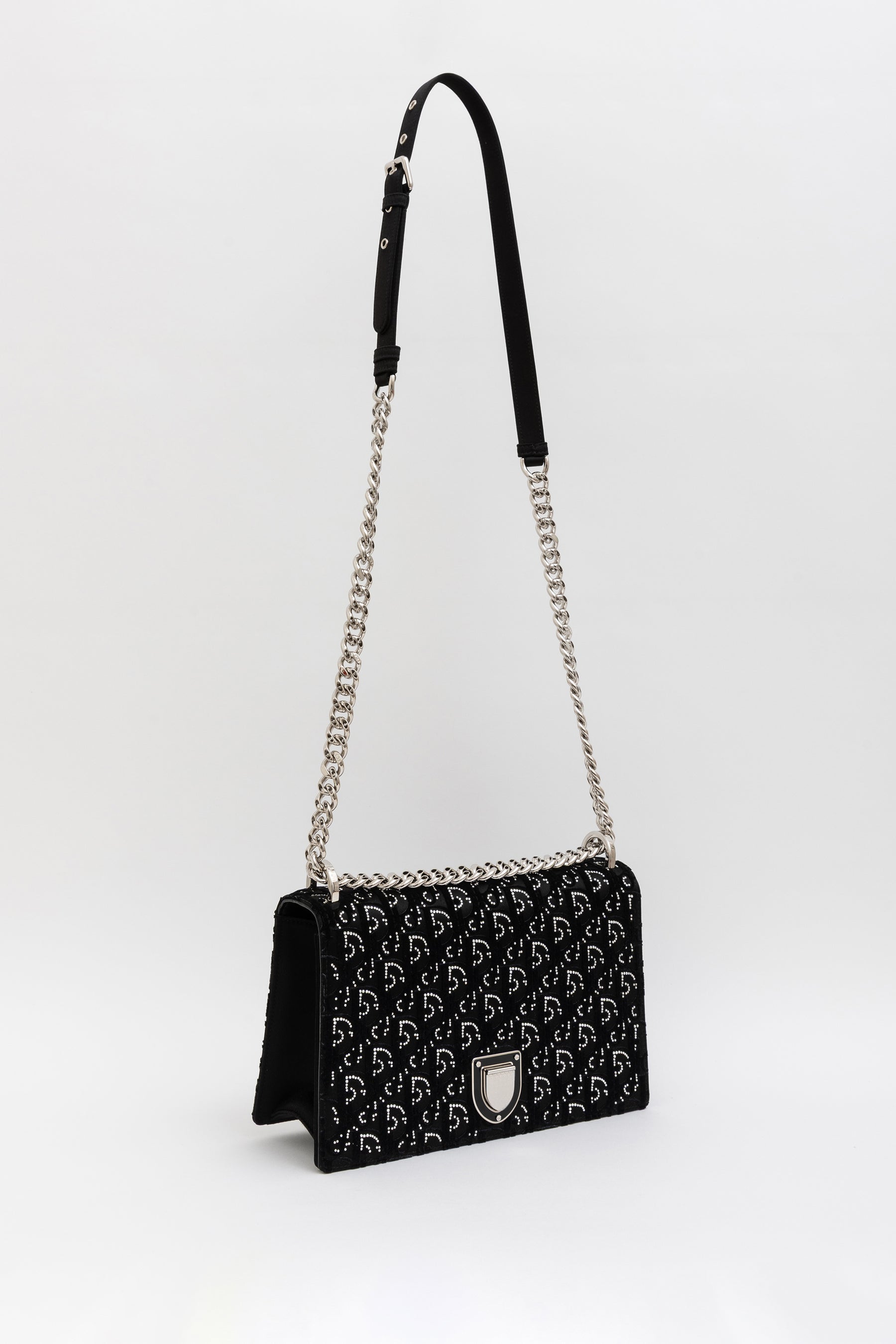 Crystal Oblique Diorama Bag