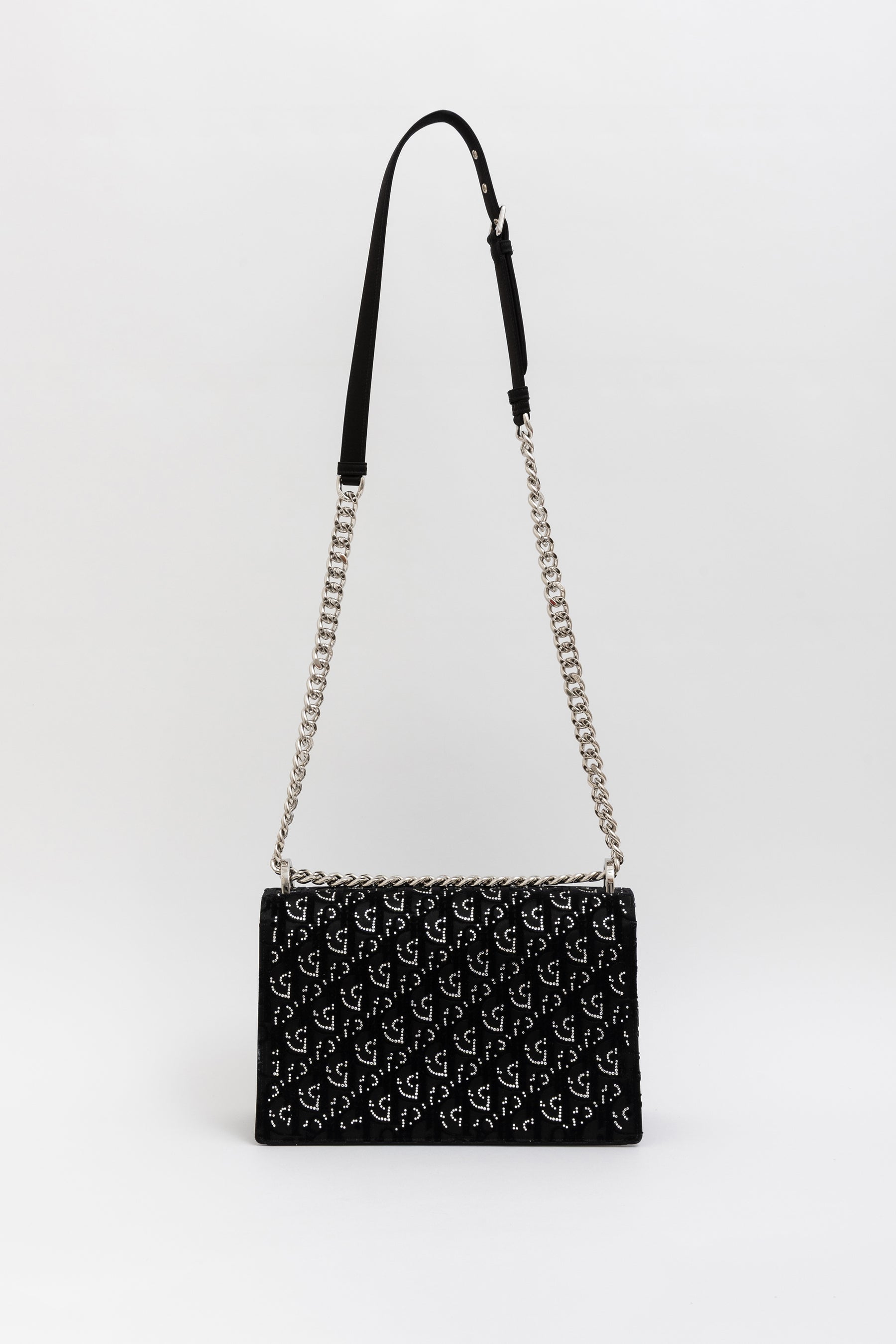 Crystal Oblique Diorama Bag