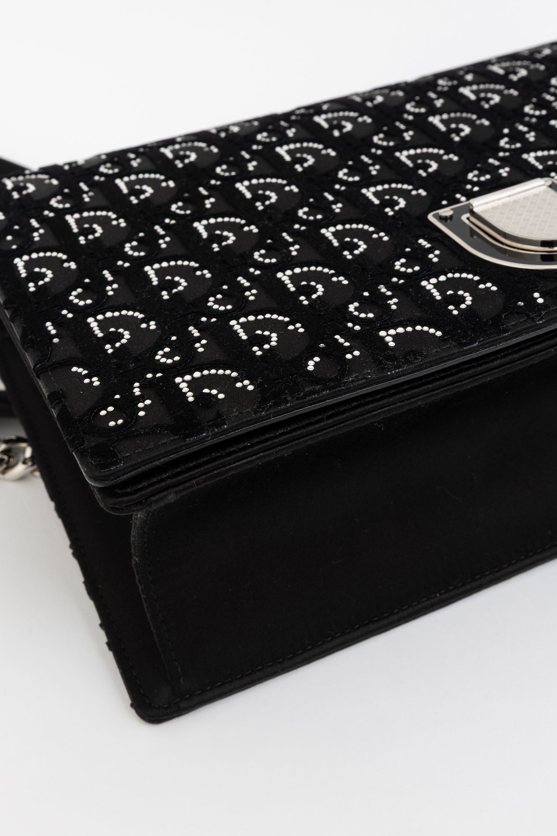 Crystal Oblique Diorama Bag