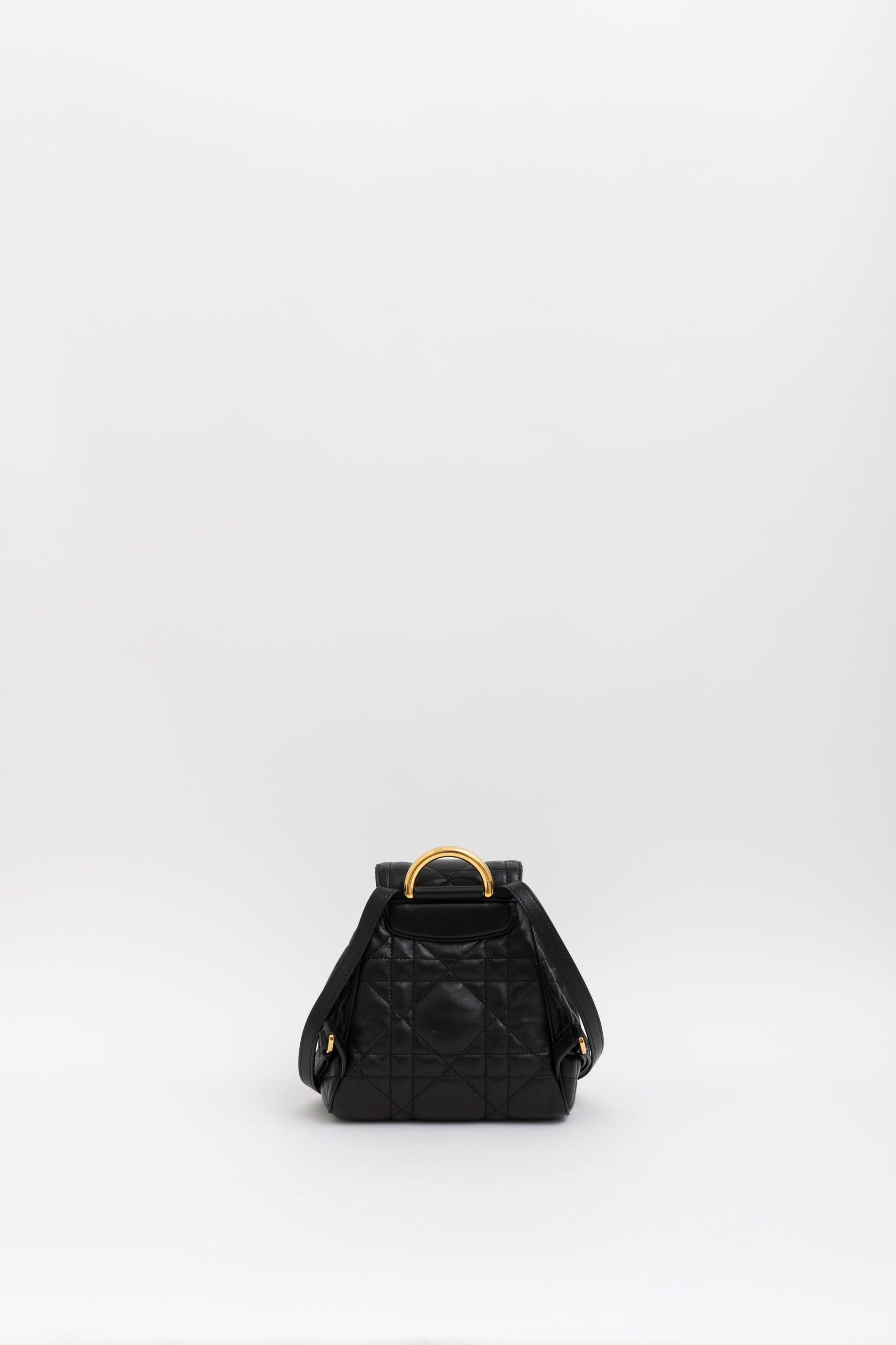 Small Dior Caro Backpack