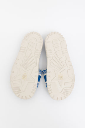 Platform Dway Slides