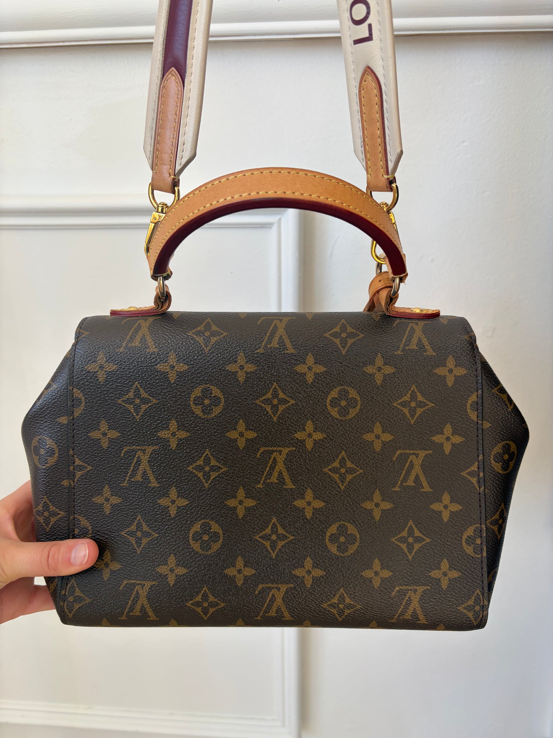 Louis Vuitton Canvas Monogram Cluny BB Bag