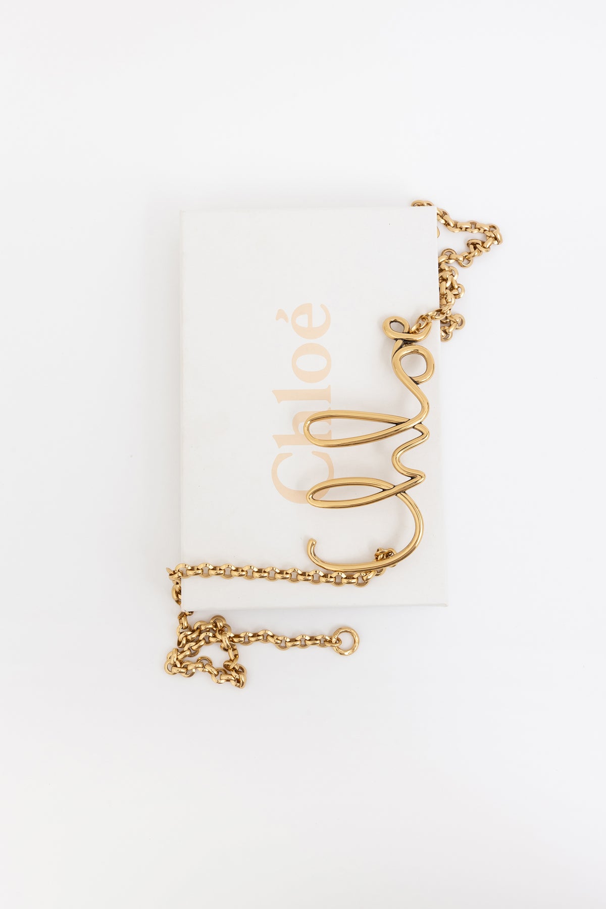 The Chloé Iconic Belt