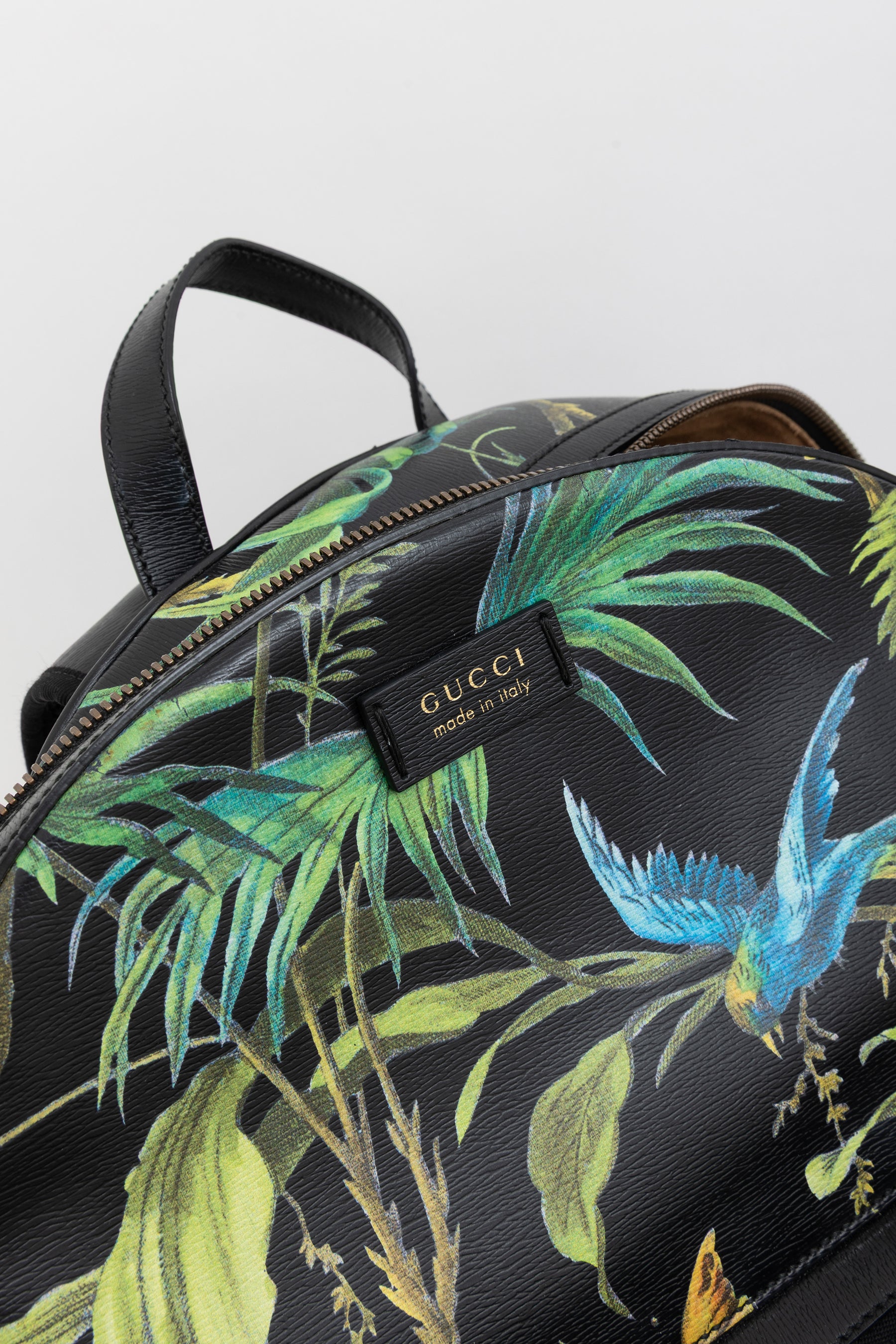 Tropical Print Medium Backpack