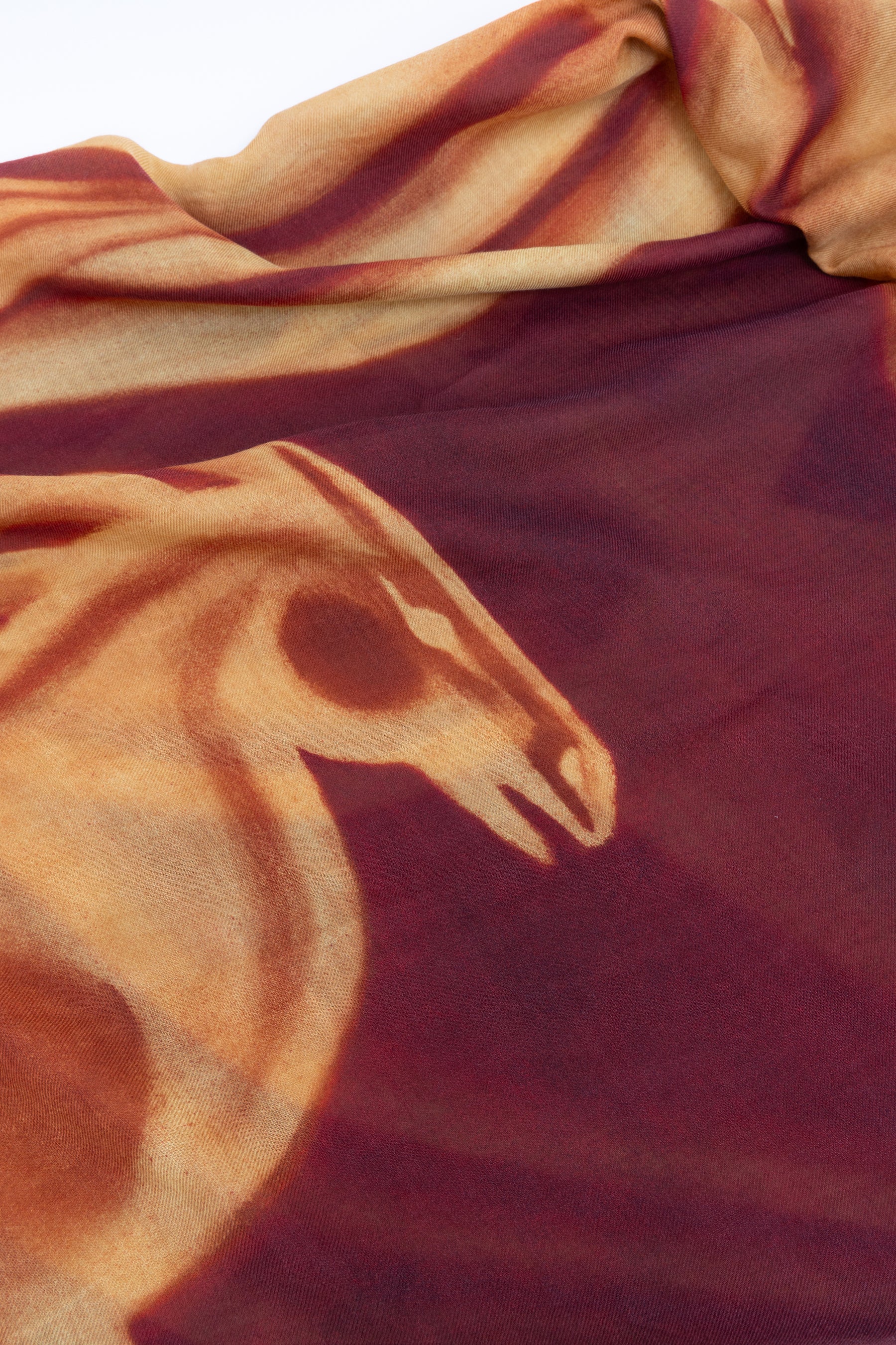 Cashmere Shawl