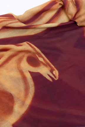 Cashmere Shawl