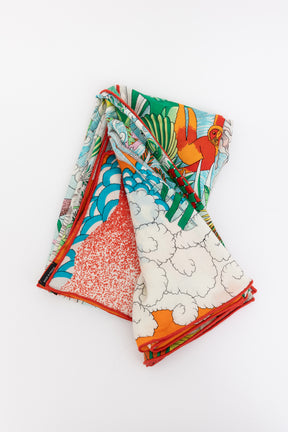 Cosmographia Universalis Shawl