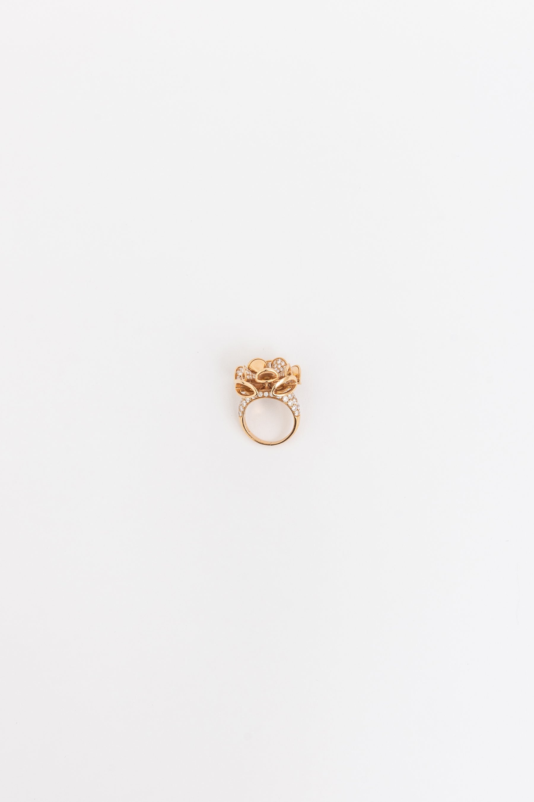Divas' Dream Ring