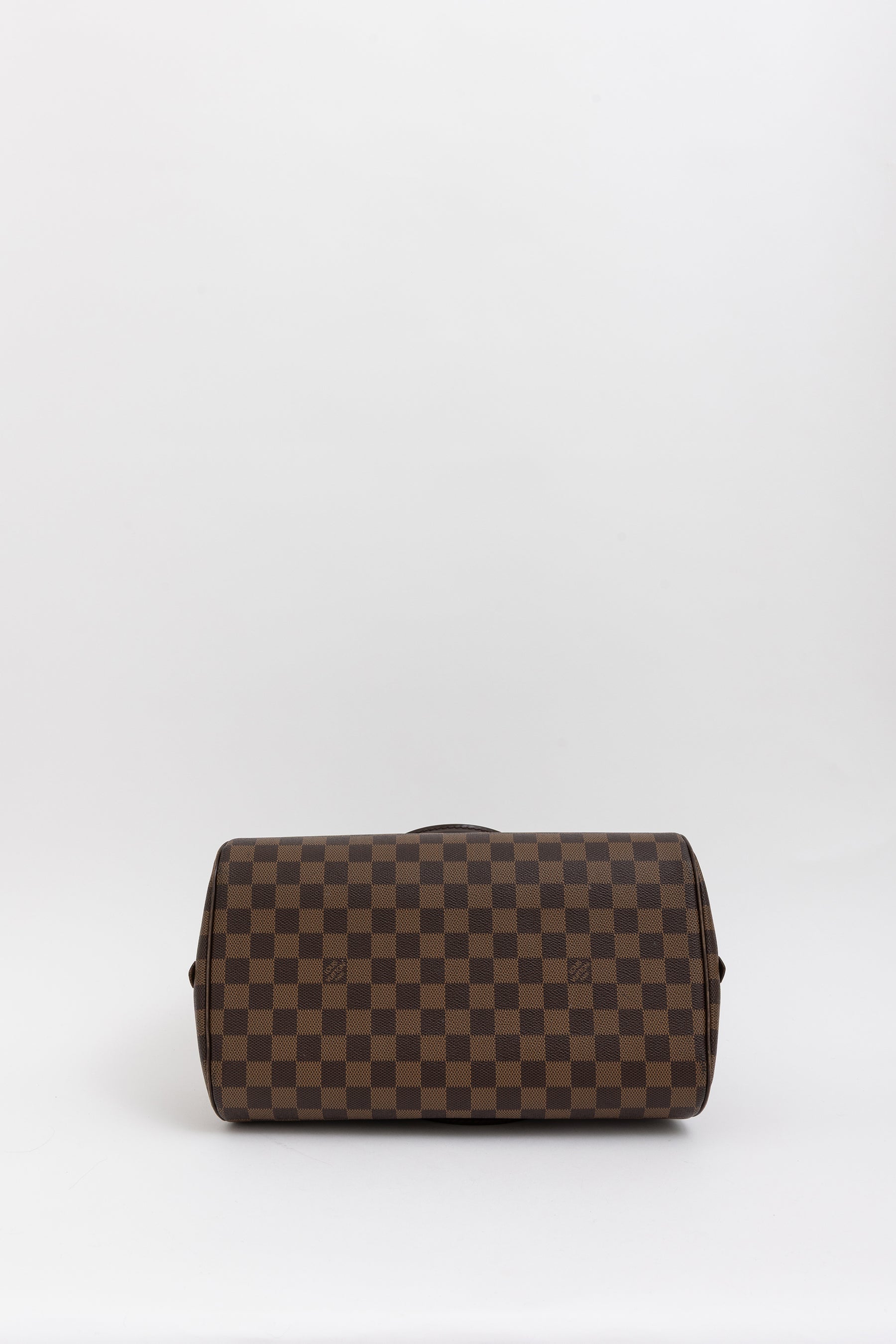 Damier Ebene Ribera MM Handbag