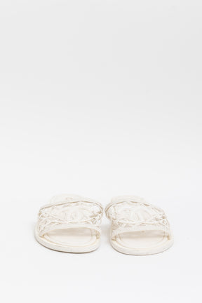 Braided Logo Slides
