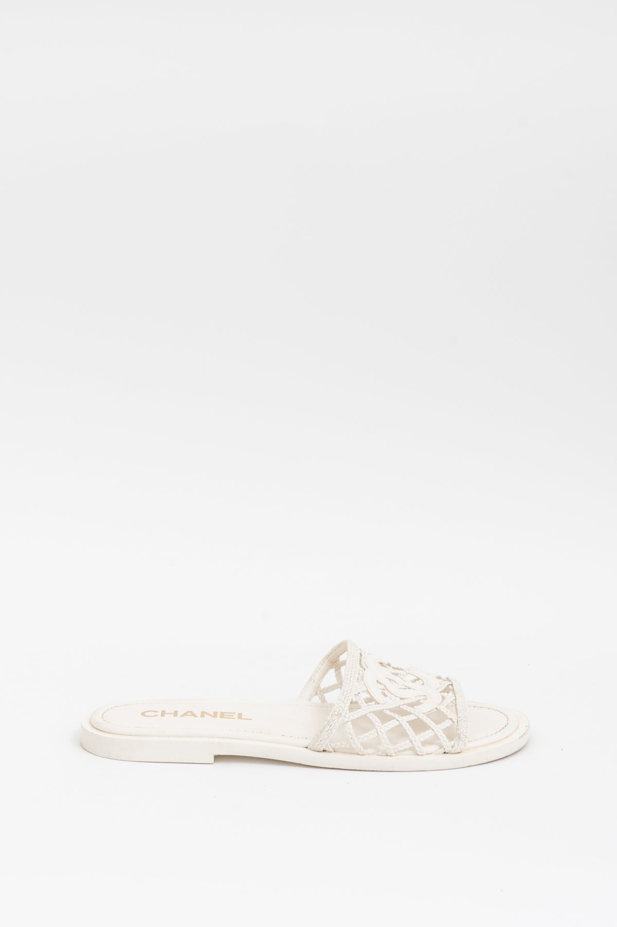 Braided Logo Slides