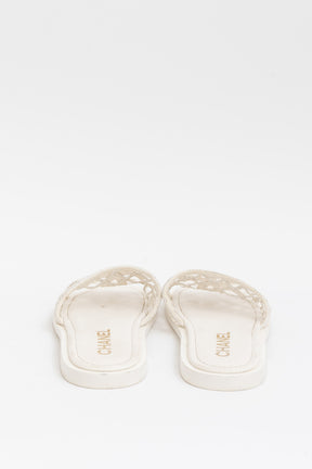 Braided Logo Slides