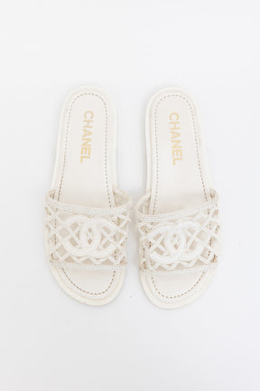 Braided Logo Slides