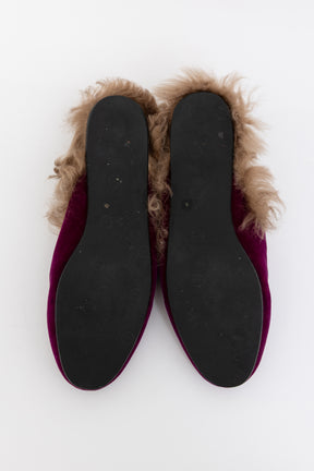 Princeton Mules