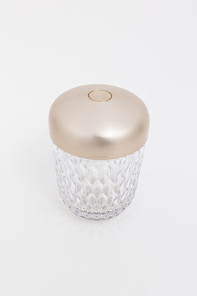 x Saint-Louis Folia Portable Crystal Lamp