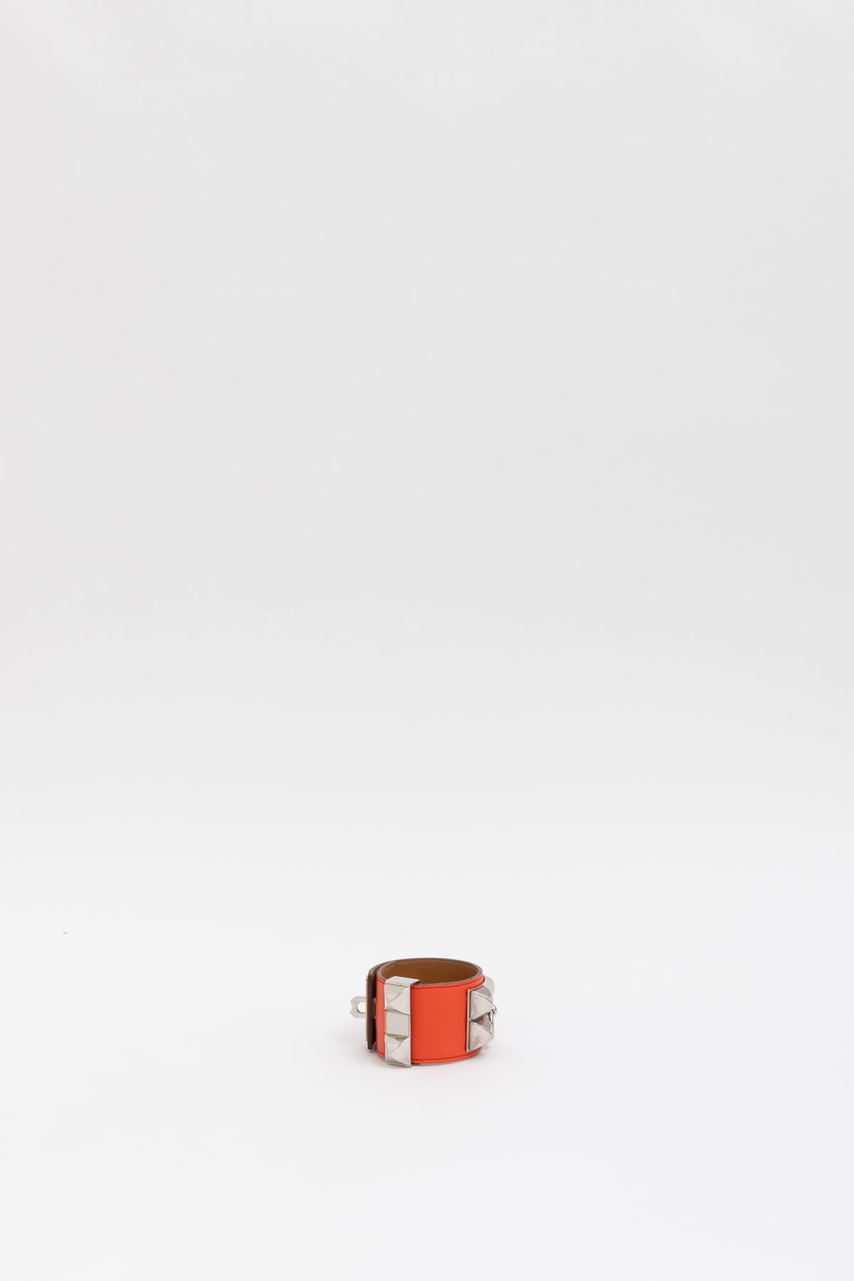 Collier de Chien Bracelet