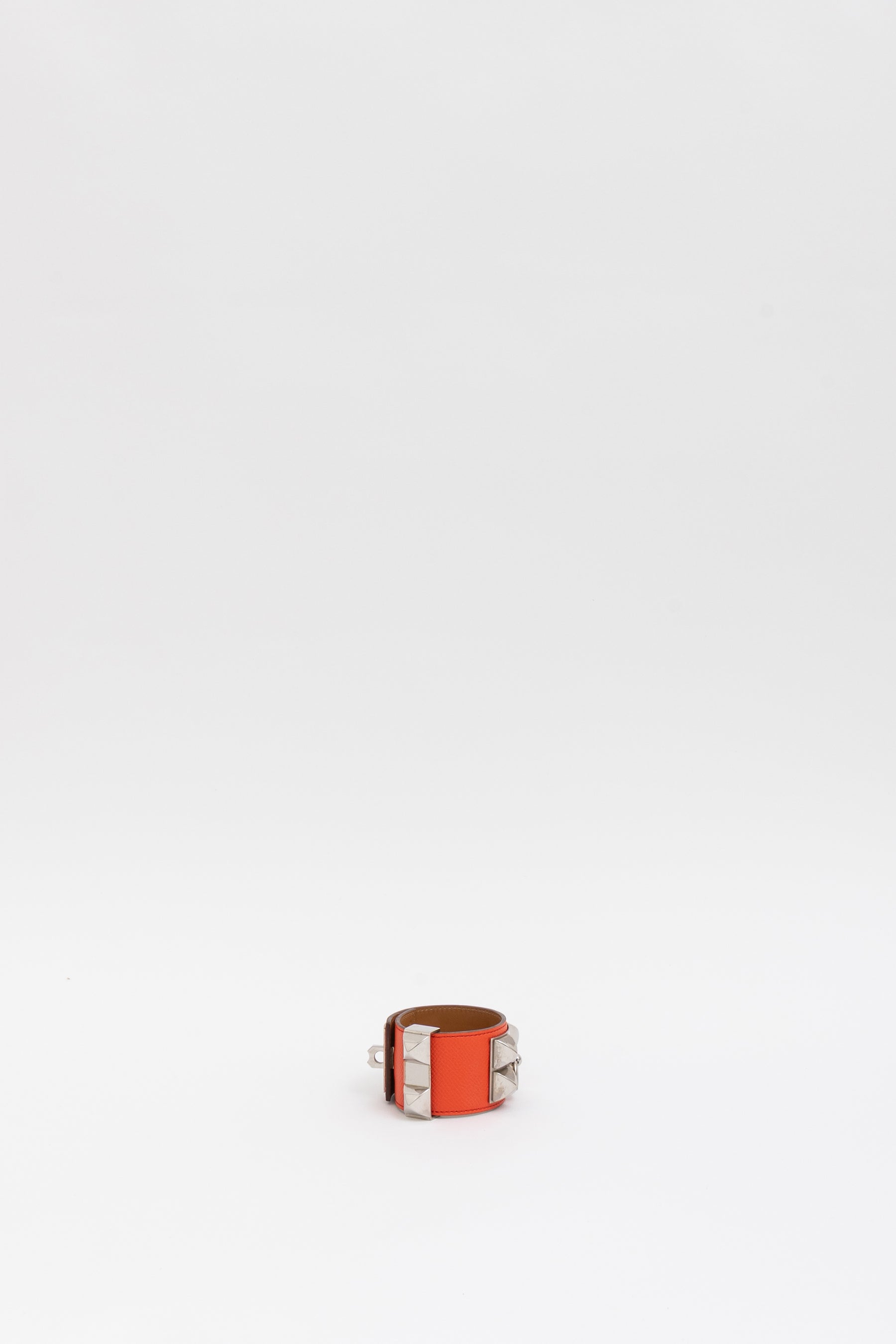 Collier de Chien Bracelet