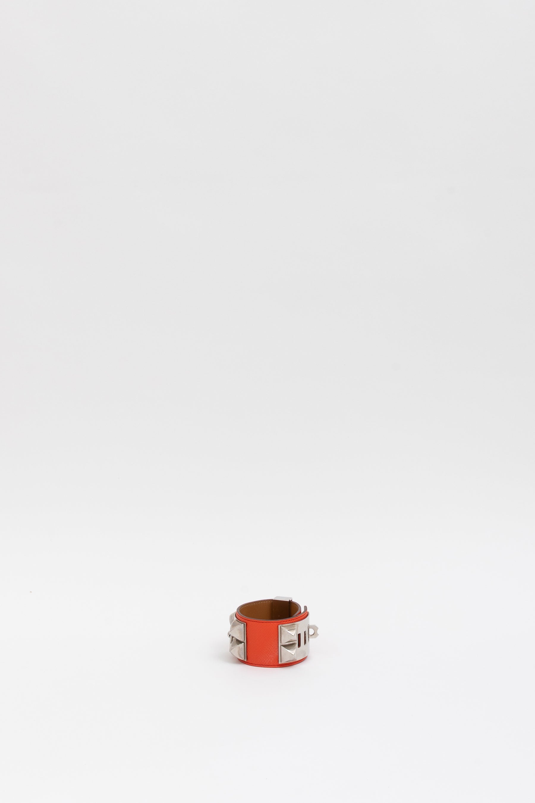 Collier de Chien Bracelet