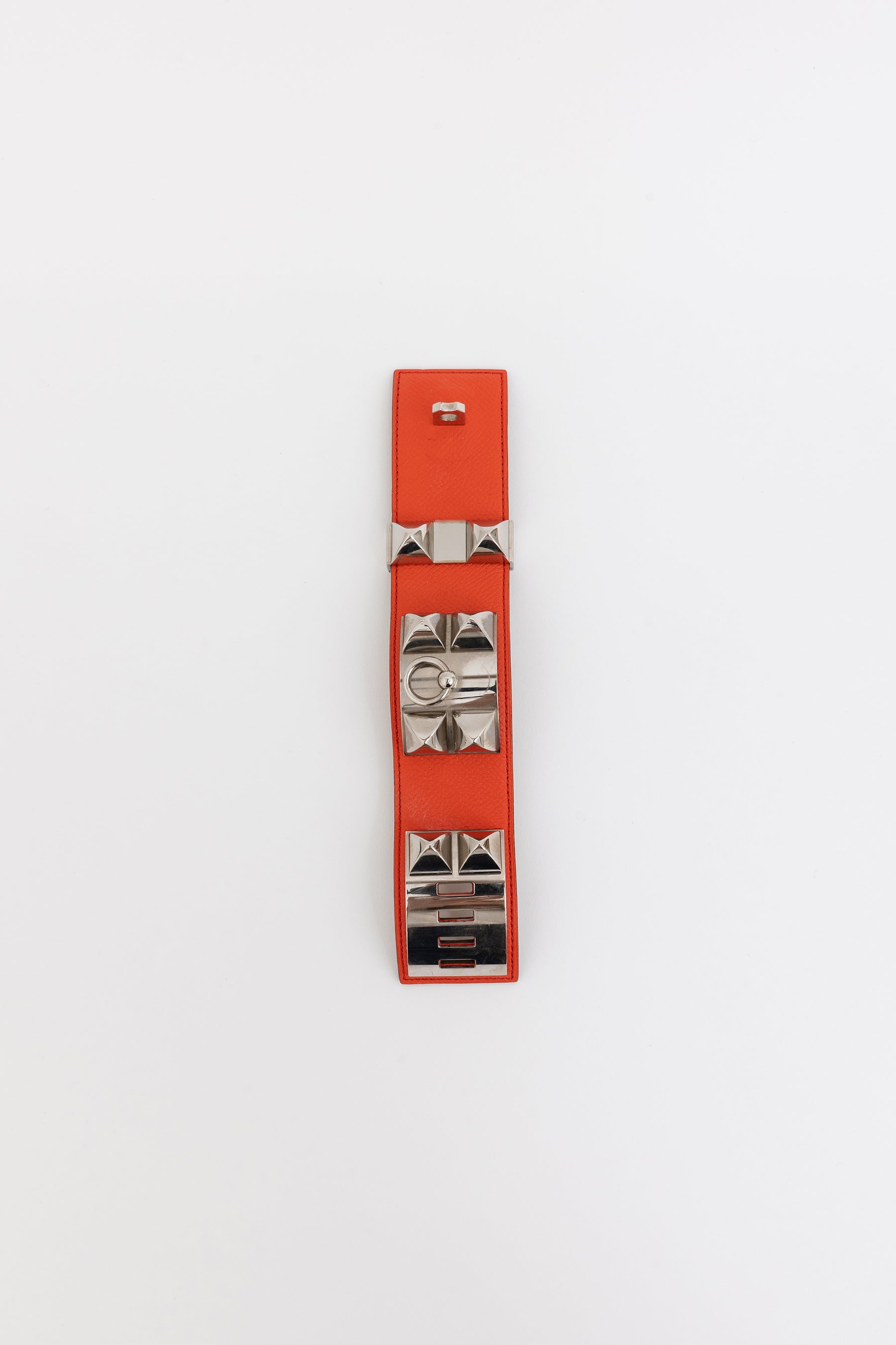 Collier de Chien Bracelet
