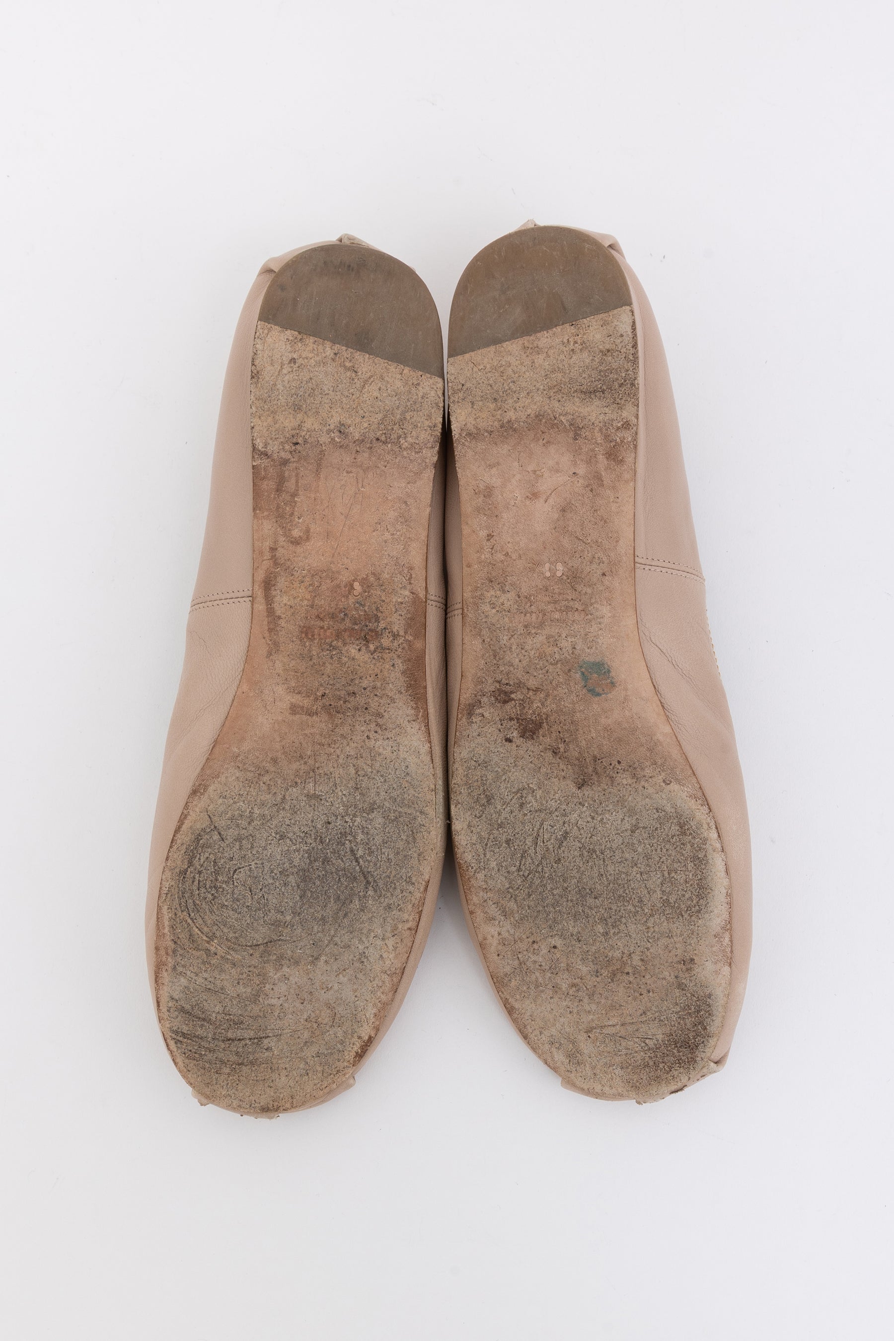 Water Lily Ballet Flats