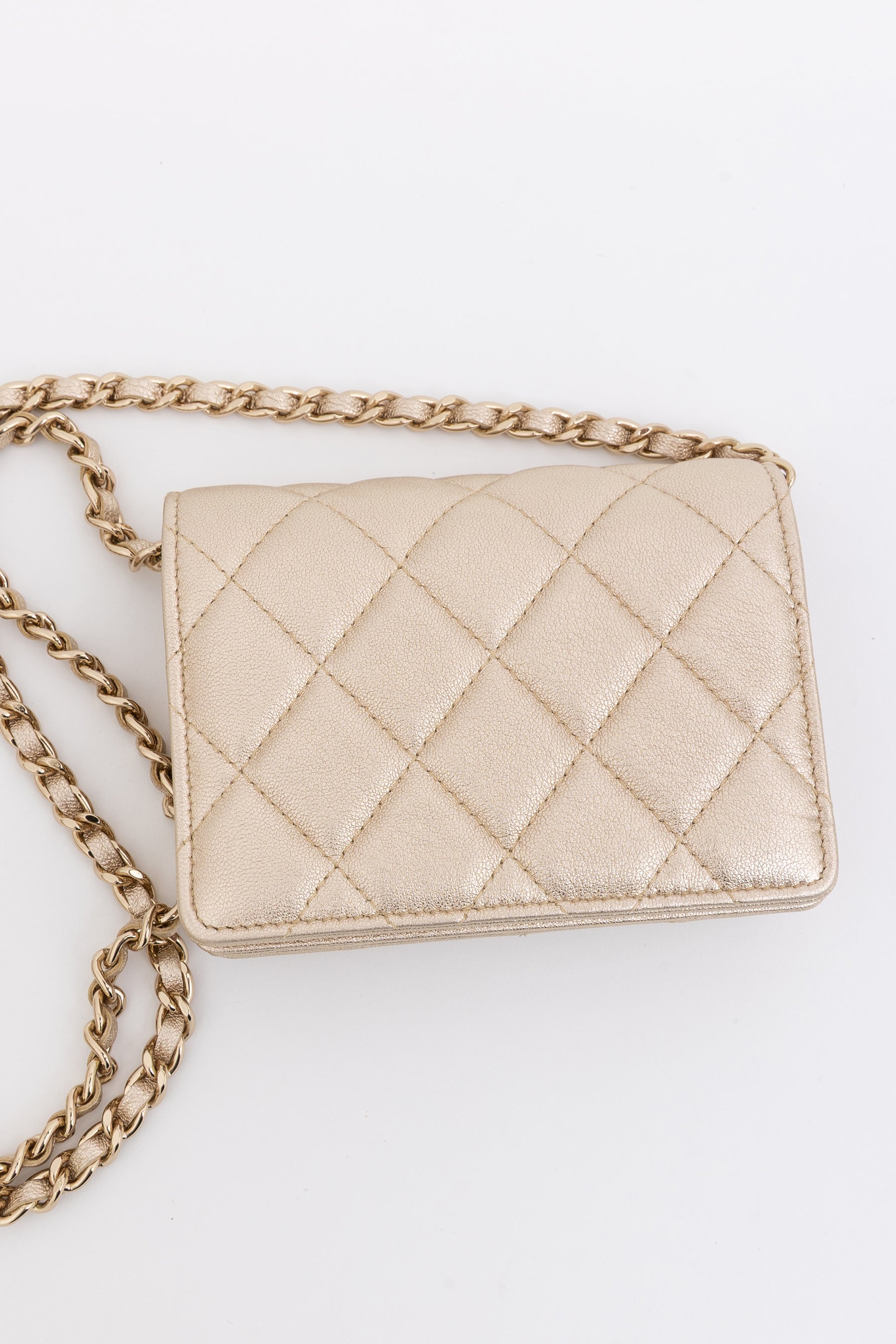 Camellia Strap Mini Card Holder on Chain