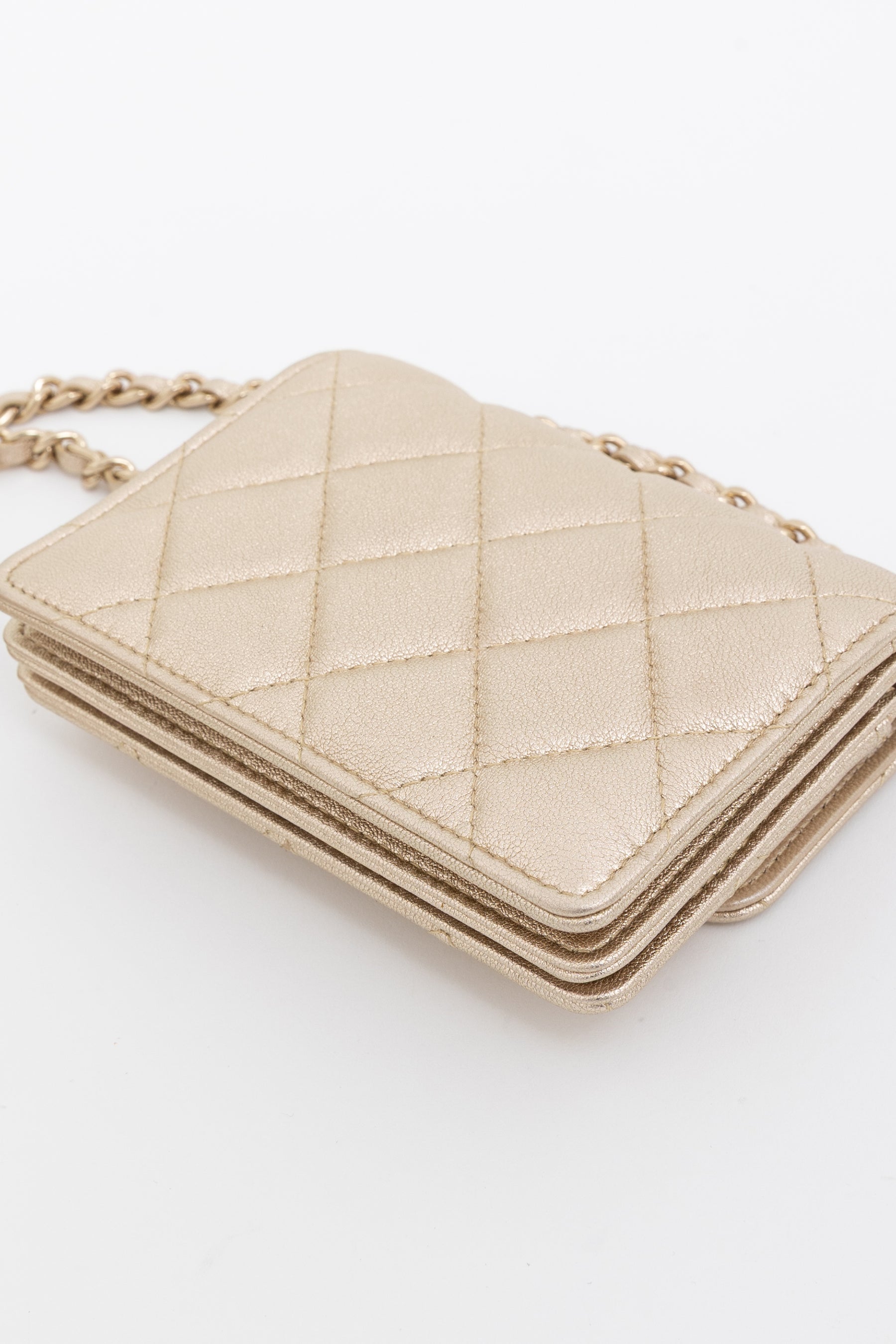 Camellia Strap Mini Card Holder on Chain