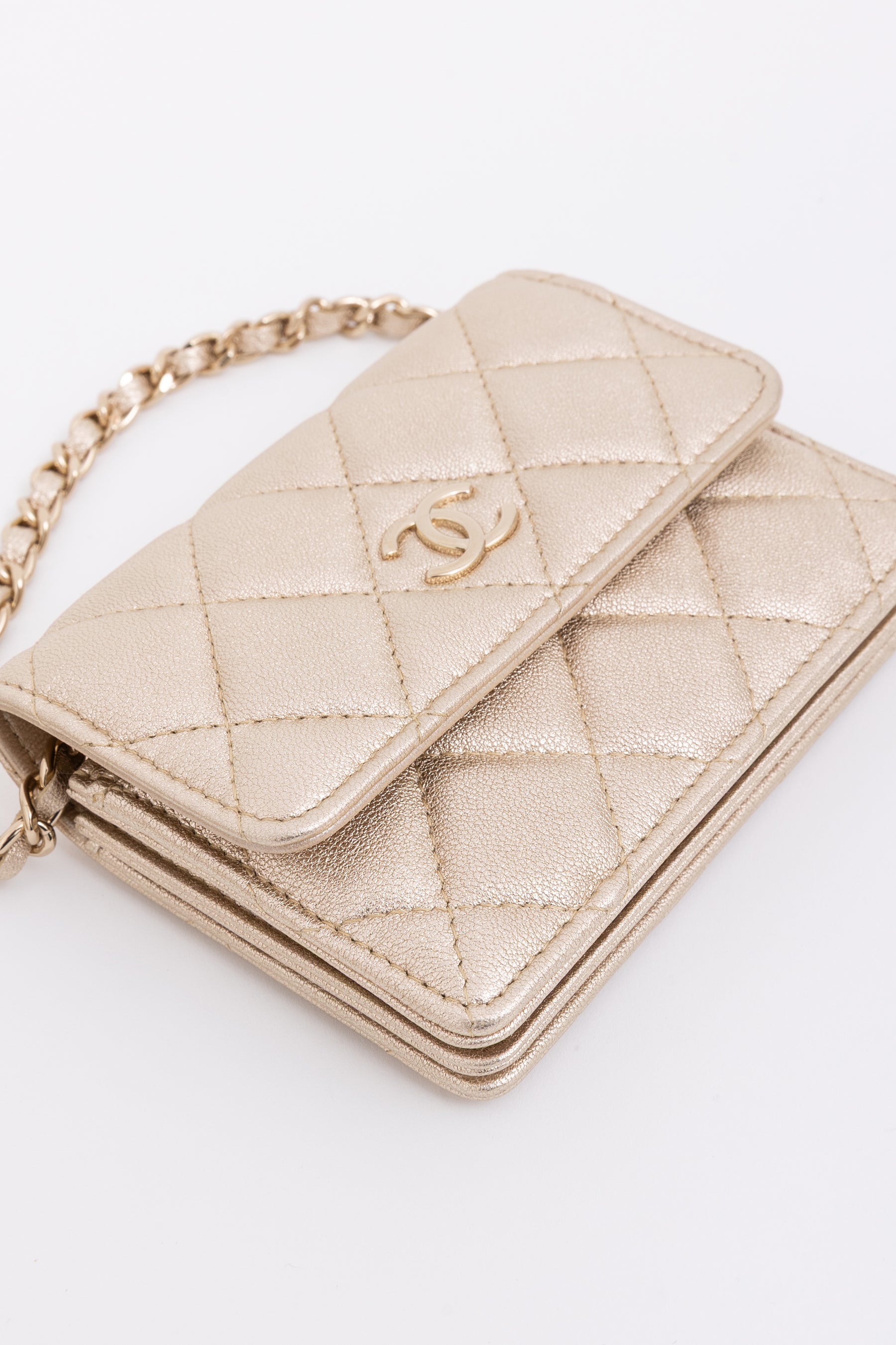 Camellia Strap Mini Card Holder on Chain