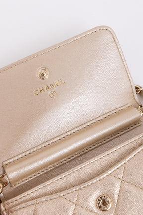 Camellia Strap Mini Card Holder on Chain