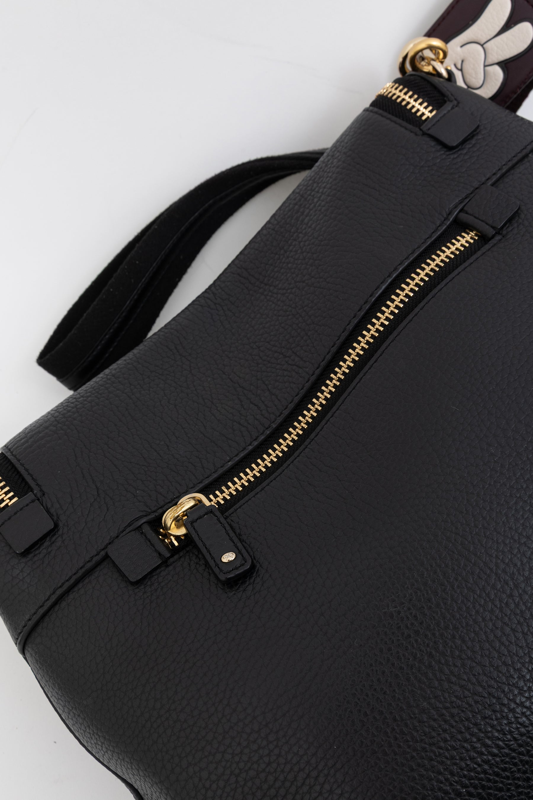 Maxi Zip Crossbody Bag