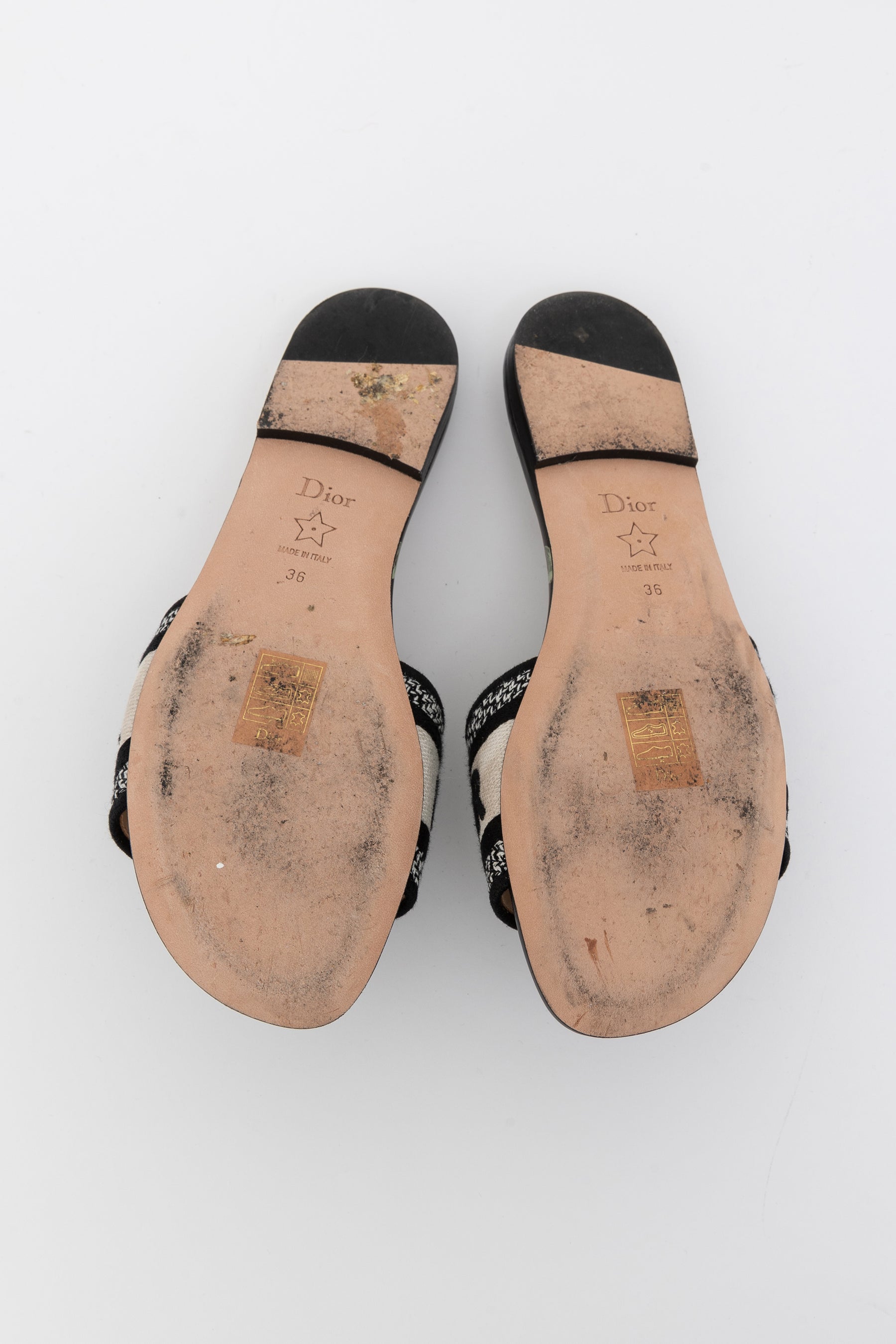 Pivoine Dway Slides