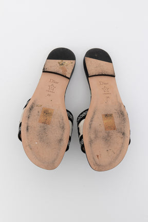 Pivoine Dway Slides