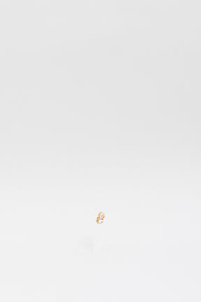 Clip On Clamshell Earrings
