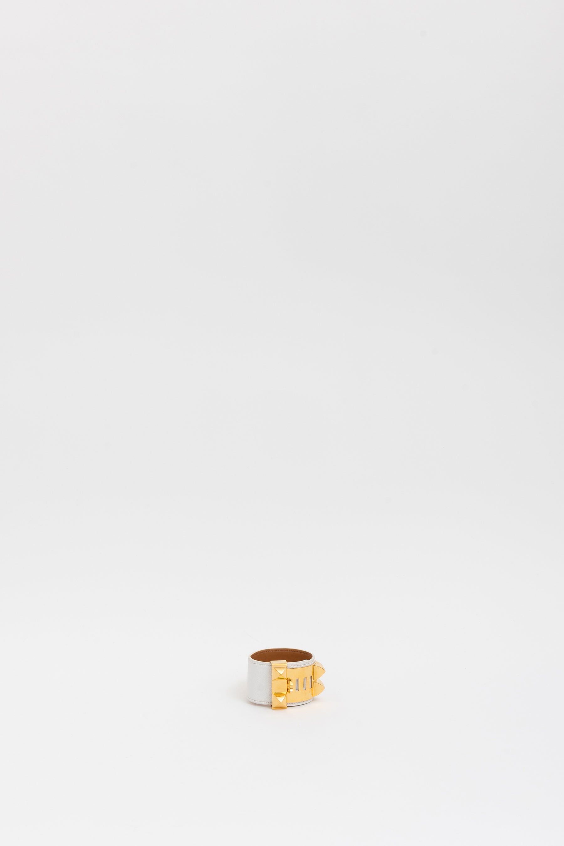 Collier de Chien Bracelet